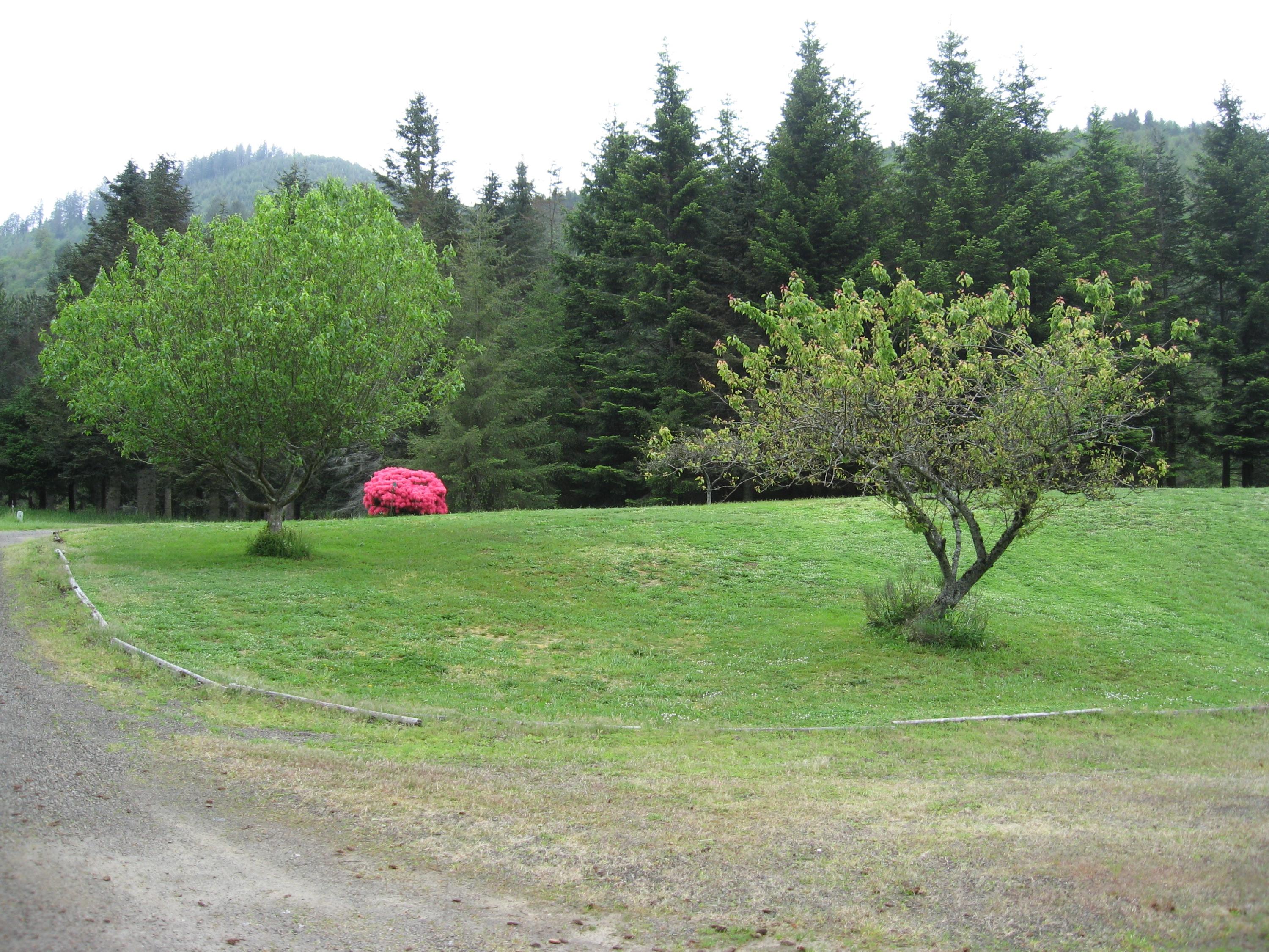 13435 Trask River Road Tillamook, OR 97141 - Photo 36 of 49 Yard and Driveway