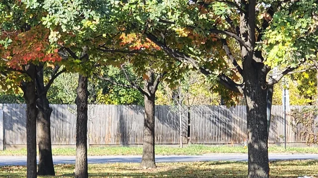 $300,000 | 4926 South Western Avenue, Chicago, IL 60609