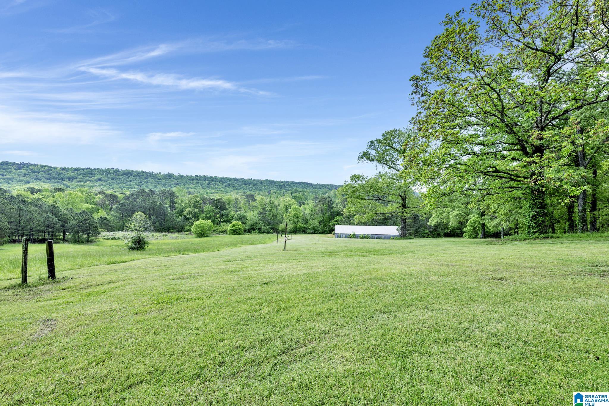 195 Harp Road Oneonta, AL 35121 - Photo 31 of 40