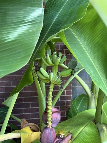 $3,800 | 6805 Breezy Pass, Austin, TX 78749