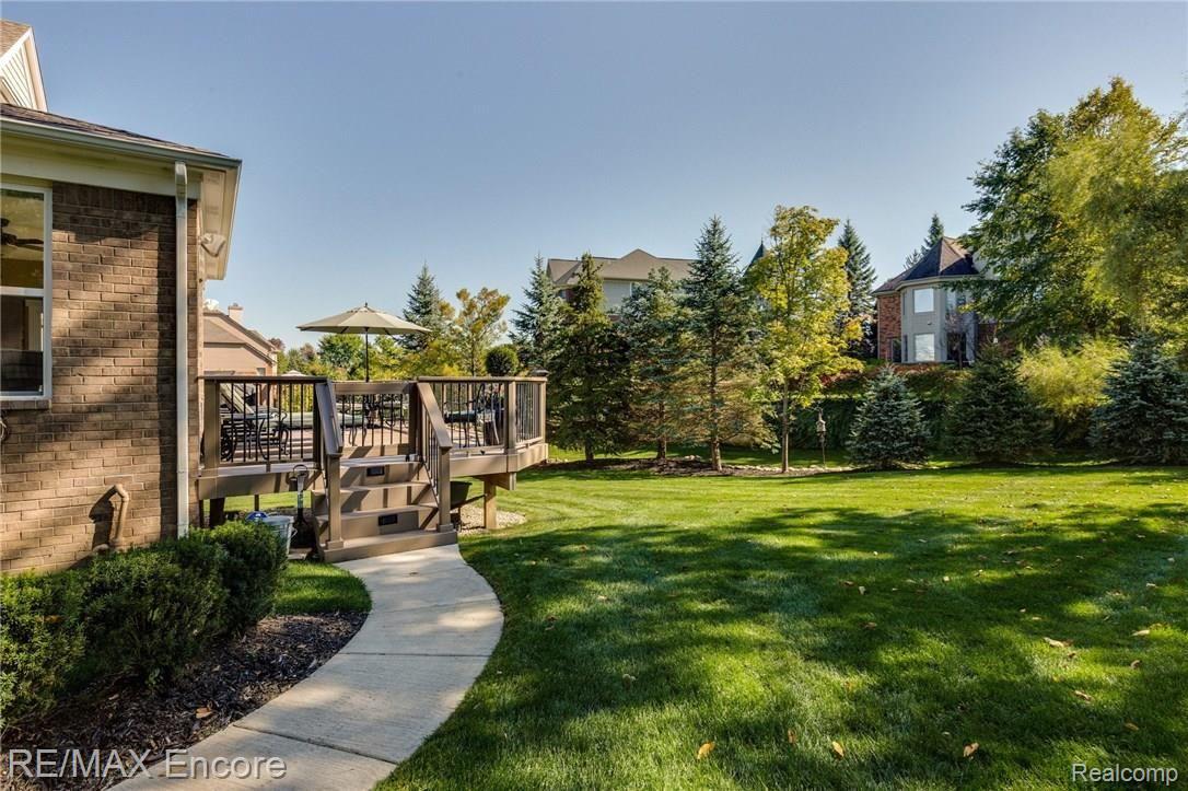 Tree Lined Backyard