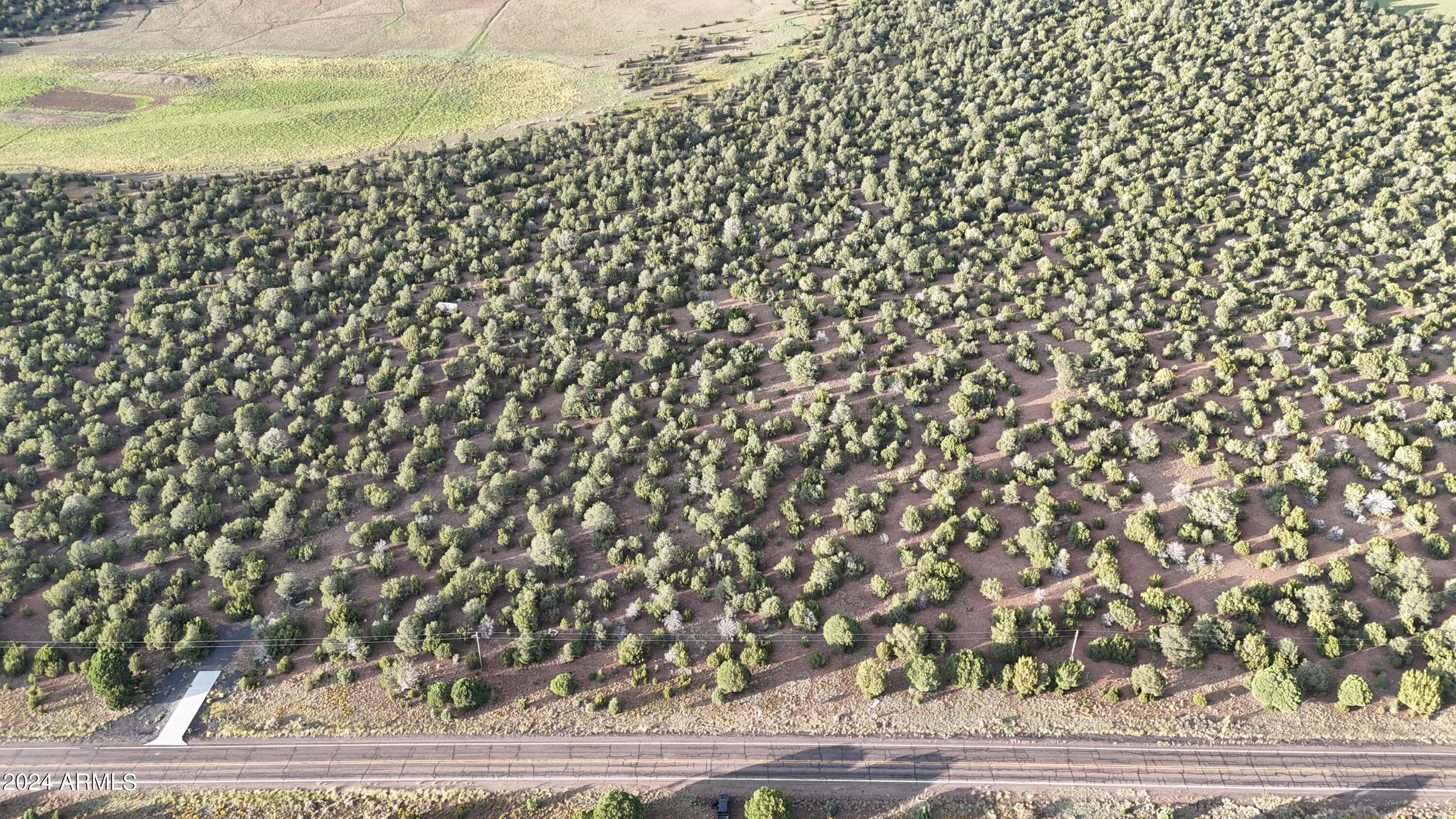 35555 Highway 60, Unit 3 Show Low, AZ 85901 - Photo 3 of 3 a view of a yard