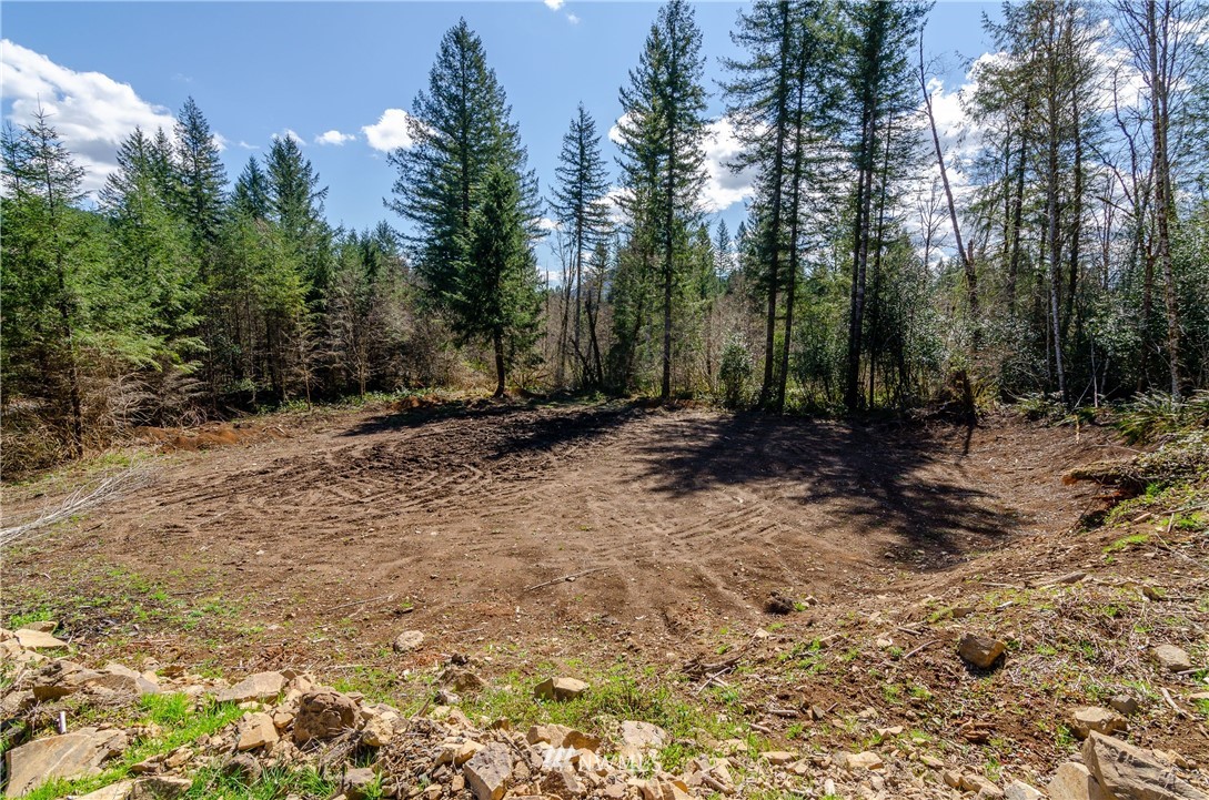 1110 Yale Bridge Road Amboy, WA 98601 - Photo 3 of 10 Gallery Image 3