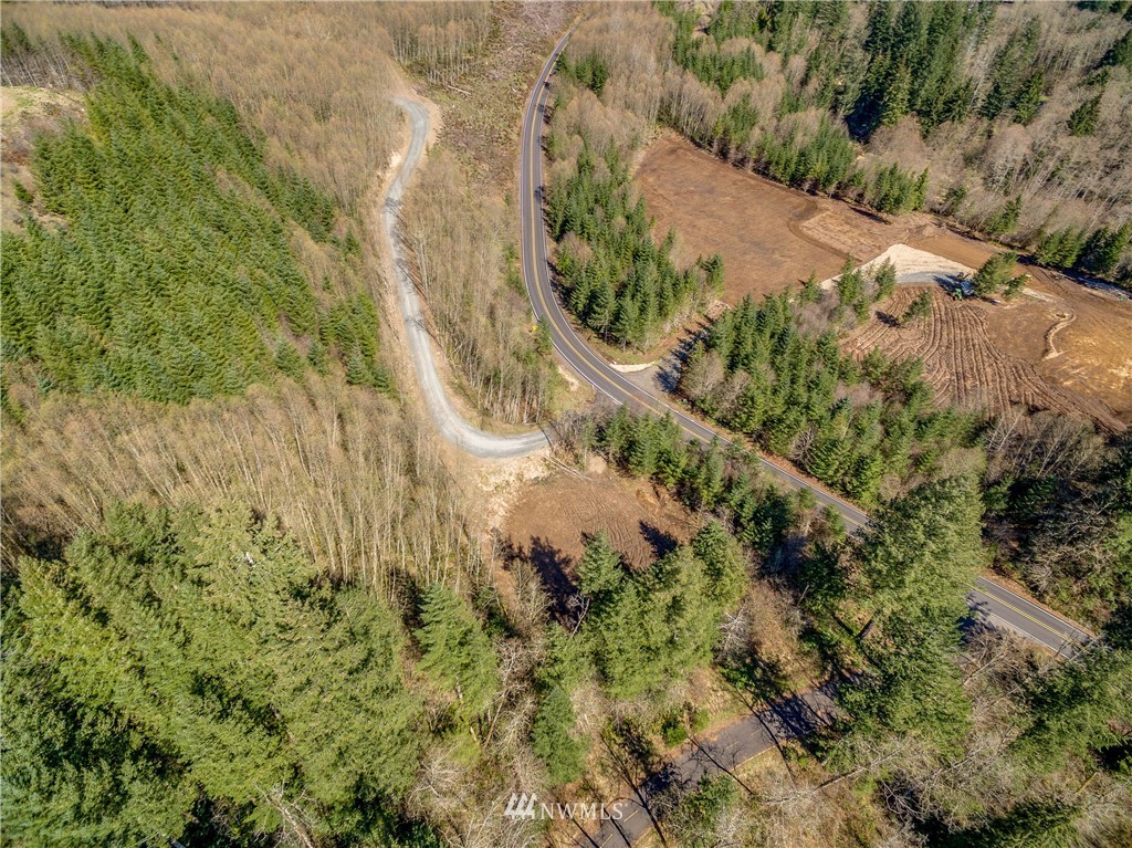 1110 Yale Bridge Road Amboy, WA 98601 - Photo 8 of 10 Gallery Image 8