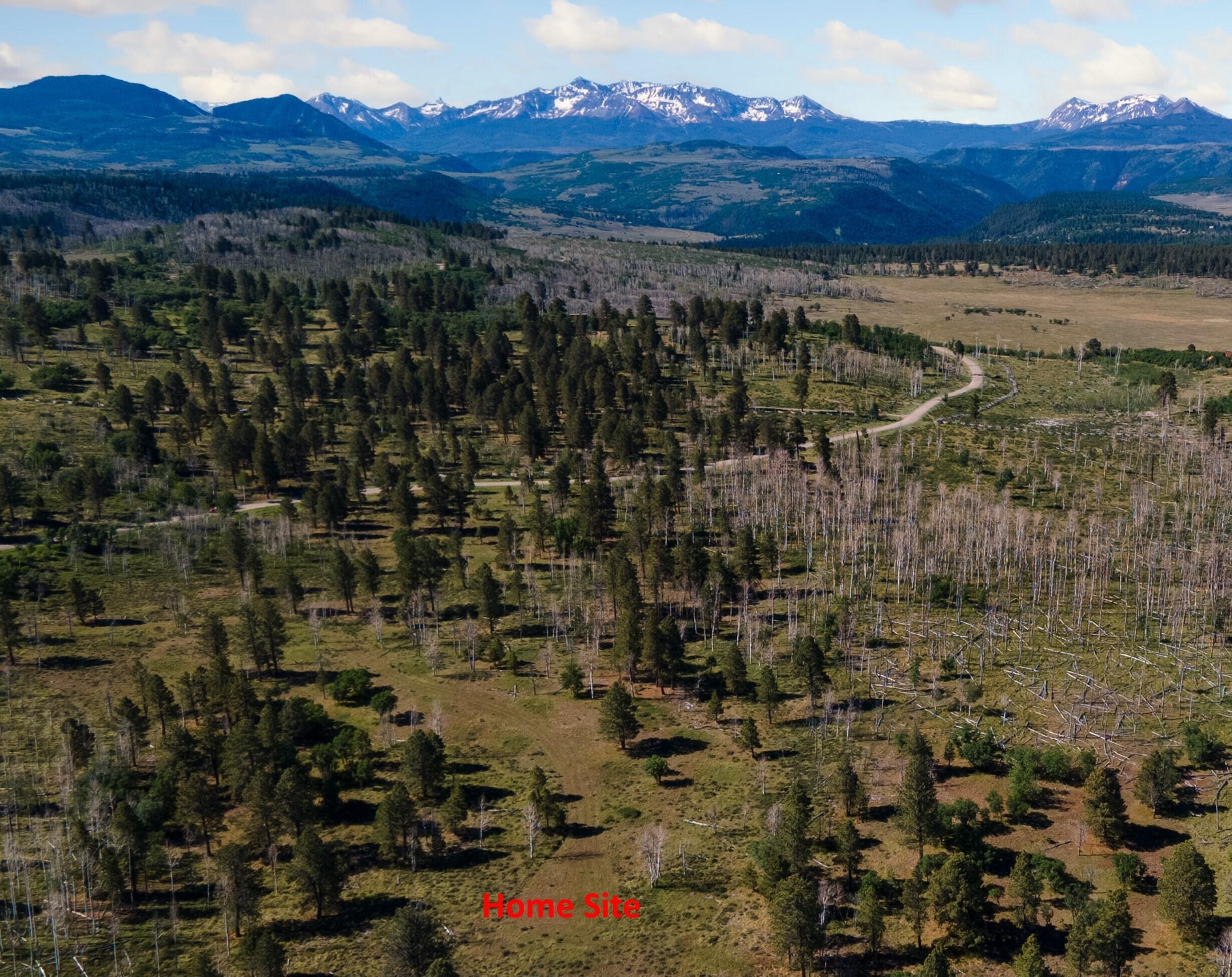 2991 Brown Ranch Road Placerville, CO 81430 - Photo 2 of 8 Lot 7 (Lupine), Brown Ranch