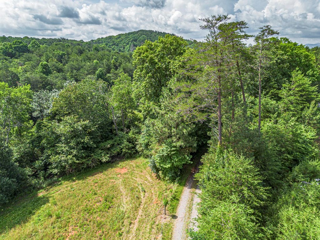 541 Pleasant Hill Road Copperhill, TN 37317 - Photo 20 of 20