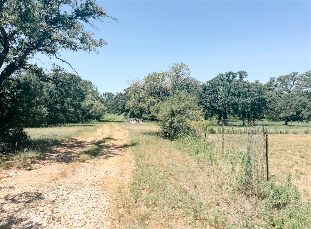13610 Hwy 183 Rising Star Tx 76471 Rising Star, TX 76471 - Photo 33 of 39 View of undeveloped land featuring rural landscape