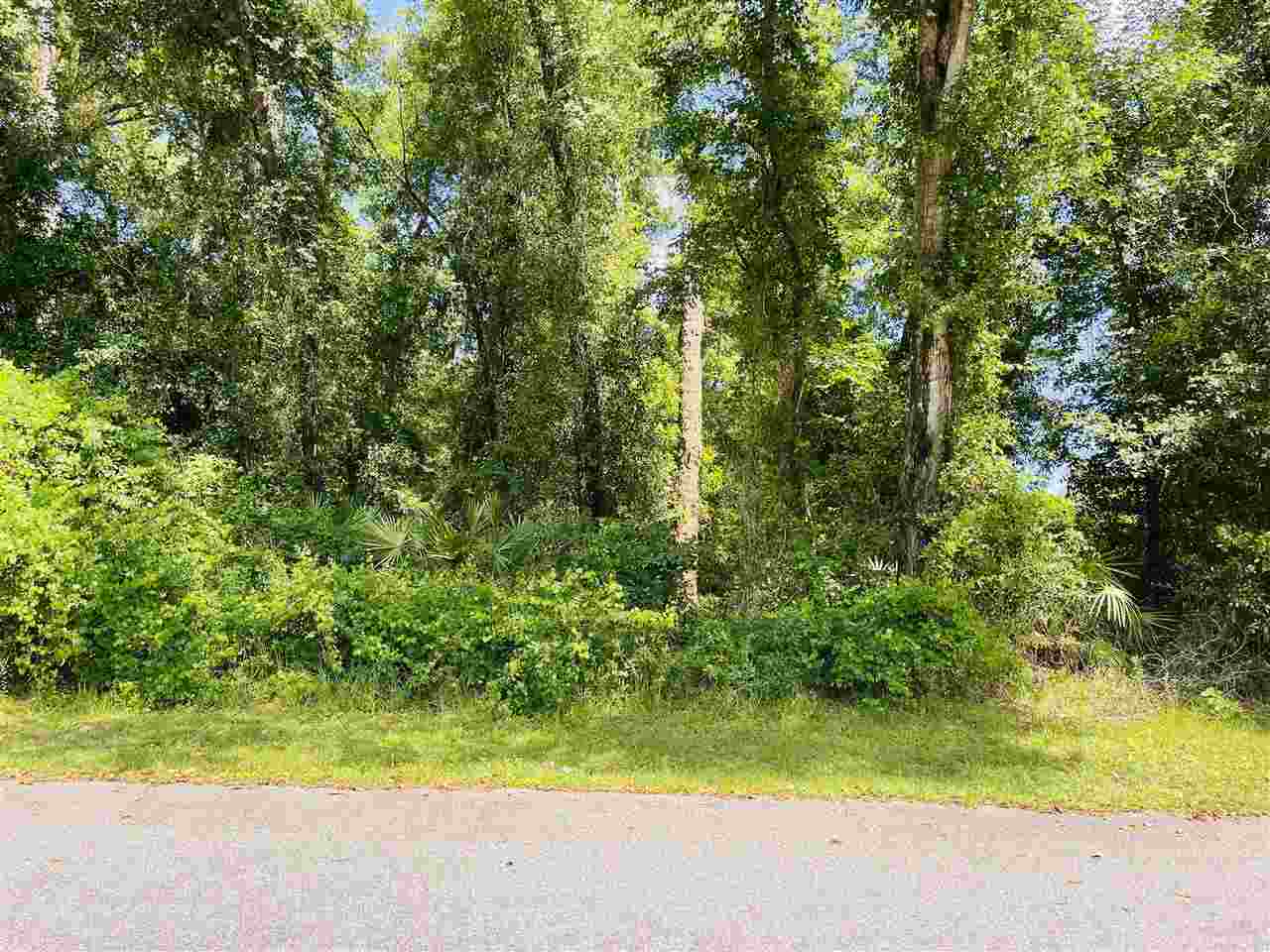 3297 Horseshoe Cove Road Waverly, GA 31565 - Photo 11 of 22