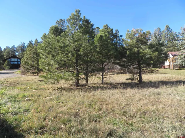 a view of a lake with trees in the background