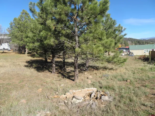 a view of a yard with a tree