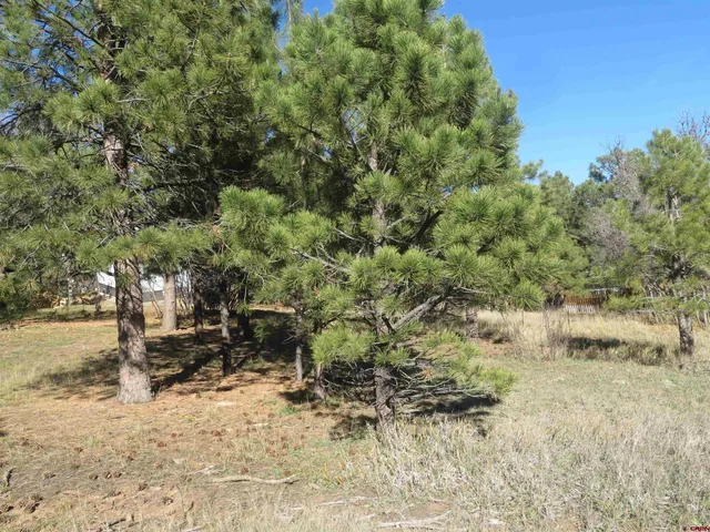a backyard of a house with a yard and outdoor seating