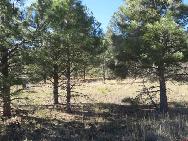 a view of mountain view with lots of trees