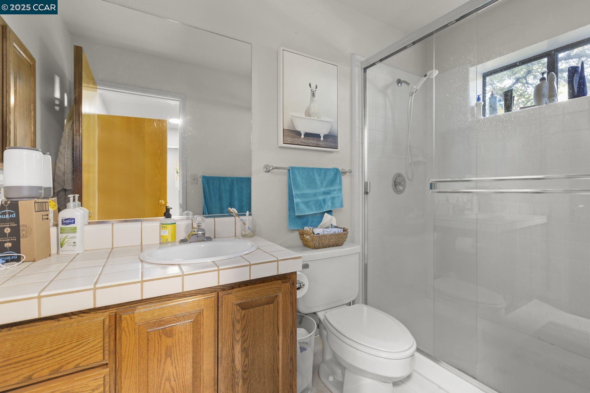 1383 Alvarado Road Berkeley, CA 94705 - Photo 37 of 47 a bathroom with a sink a toilet and shower