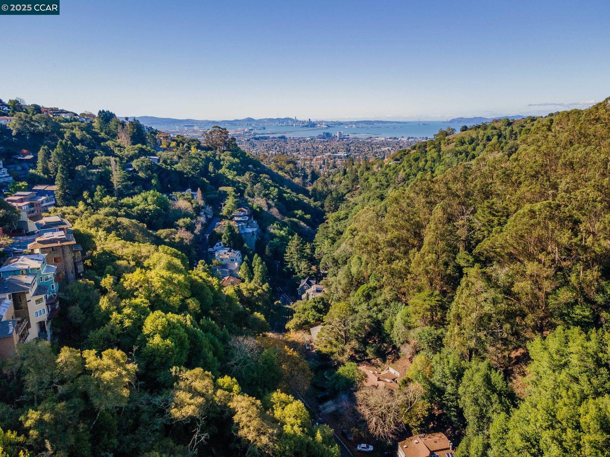 1383 Alvarado Road Berkeley, CA 94705 - Photo 45 of 47 a view of a bunch of flowers and trees