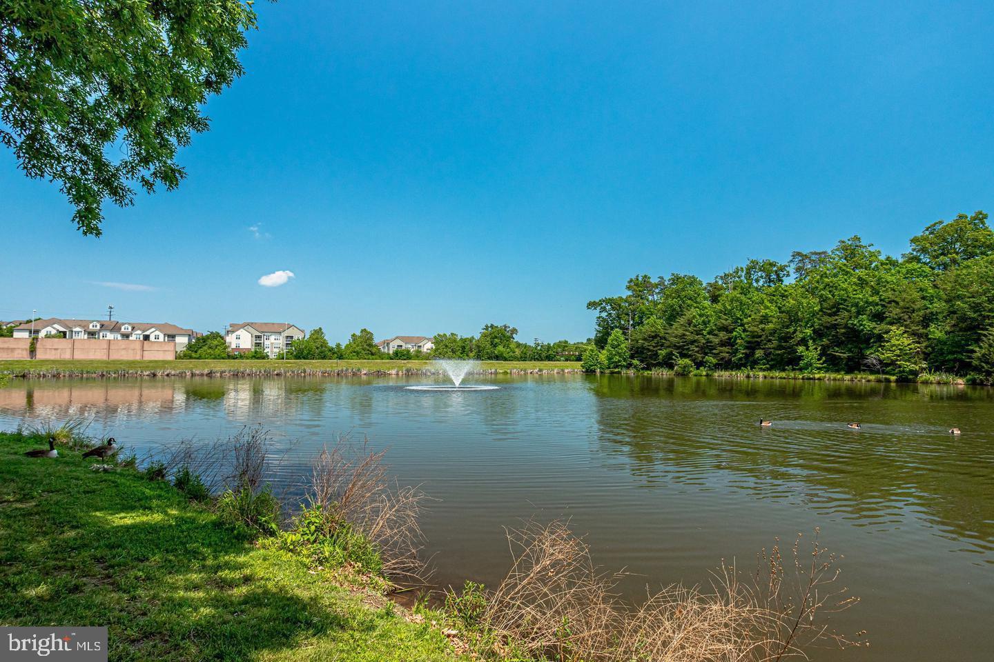 1724 Lake Shore Crest Drive, Unit 25 Reston, VA 20190 - Photo 38 of 52 a view of a lake with houses in the back