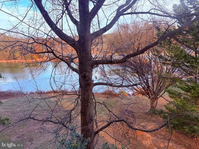 1724 Lake Shore Crest Drive, Unit 25 Reston, VA 20190 - Photo 42 of 52 a backyard of a house with lots of green space