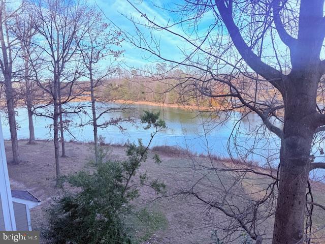 1724 Lake Shore Crest Drive, Unit 25 Reston, VA 20190 - Photo 45 of 52 a backyard of a house with lots of green space