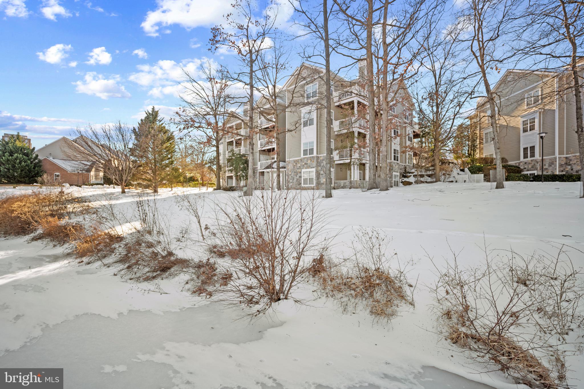 1724 Lake Shore Crest Drive, Unit 25 Reston, VA 20190 - Photo 50 of 52