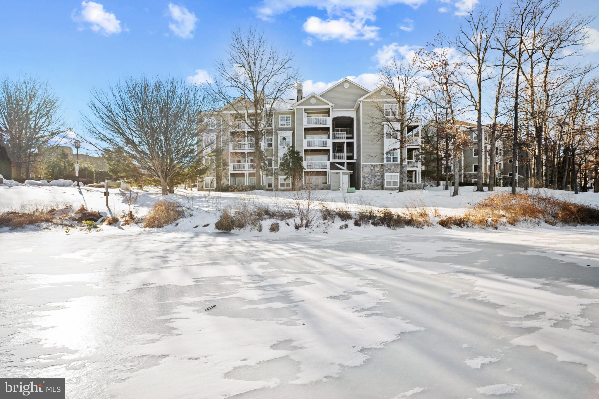 1724 Lake Shore Crest Drive, Unit 25 Reston, VA 20190 - Photo 51 of 52 a view of white house with a yard covered in snow
