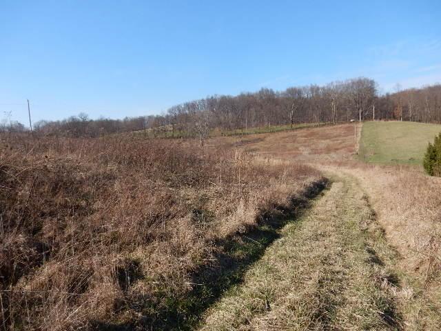 23561 Thompson Road Howard, OH 43028 - Photo 3 of 16 Gallery Image 3