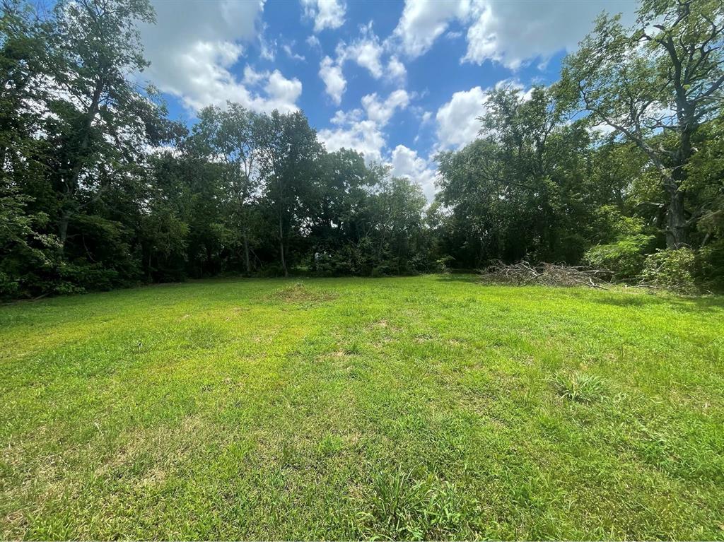 Expansive grassy clearing surrounded by a perimeter of mature trees