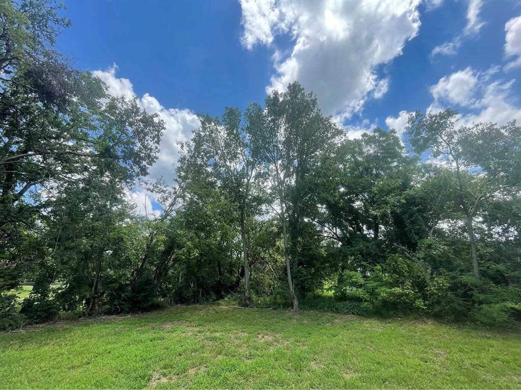 1127 West End Street Terrell, TX 75160 - Photo 11 of 14 a view of an outdoor space and a yard