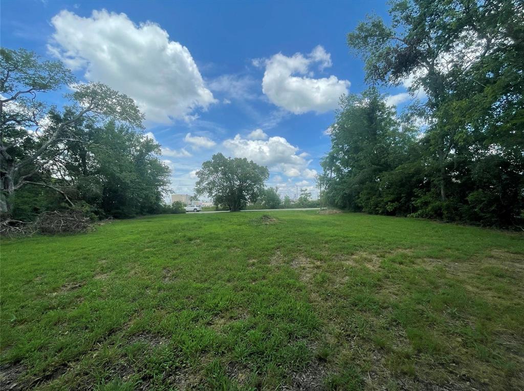 1127 West End Street Terrell, TX 75160 - Photo 3 of 14 a view of yard with green space