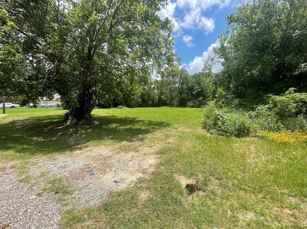 1127 West End Street Terrell, TX 75160 - Photo 6 of 14 a view of outdoor space and yard