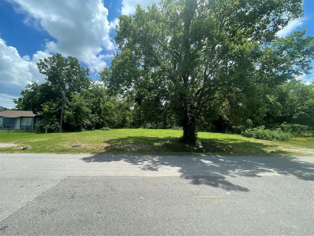 1127 West End Street Terrell, TX 75160 - Photo 7 of 14 a view of a yard with tree s
