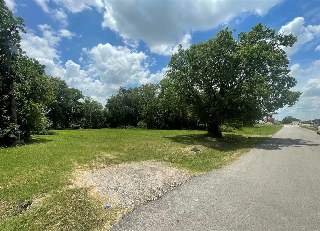 1127 West End Street Terrell, TX 75160 - Photo 8 of 14 a view of yard with swimming pool and trees