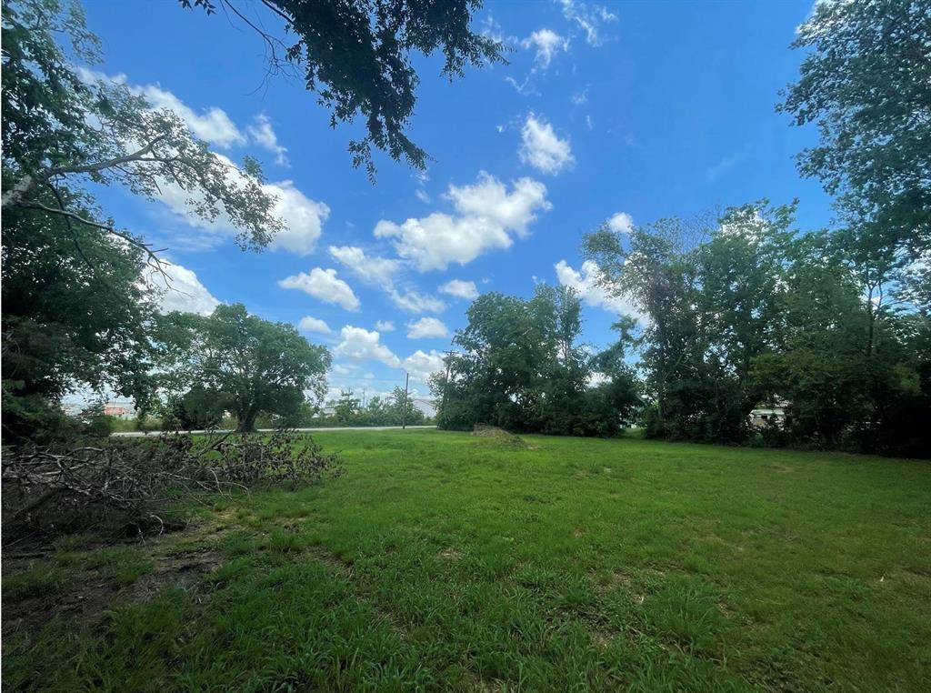 1127 West End Street Terrell, TX 75160 - Photo 10 of 14 a view of a big yard with plants and large trees