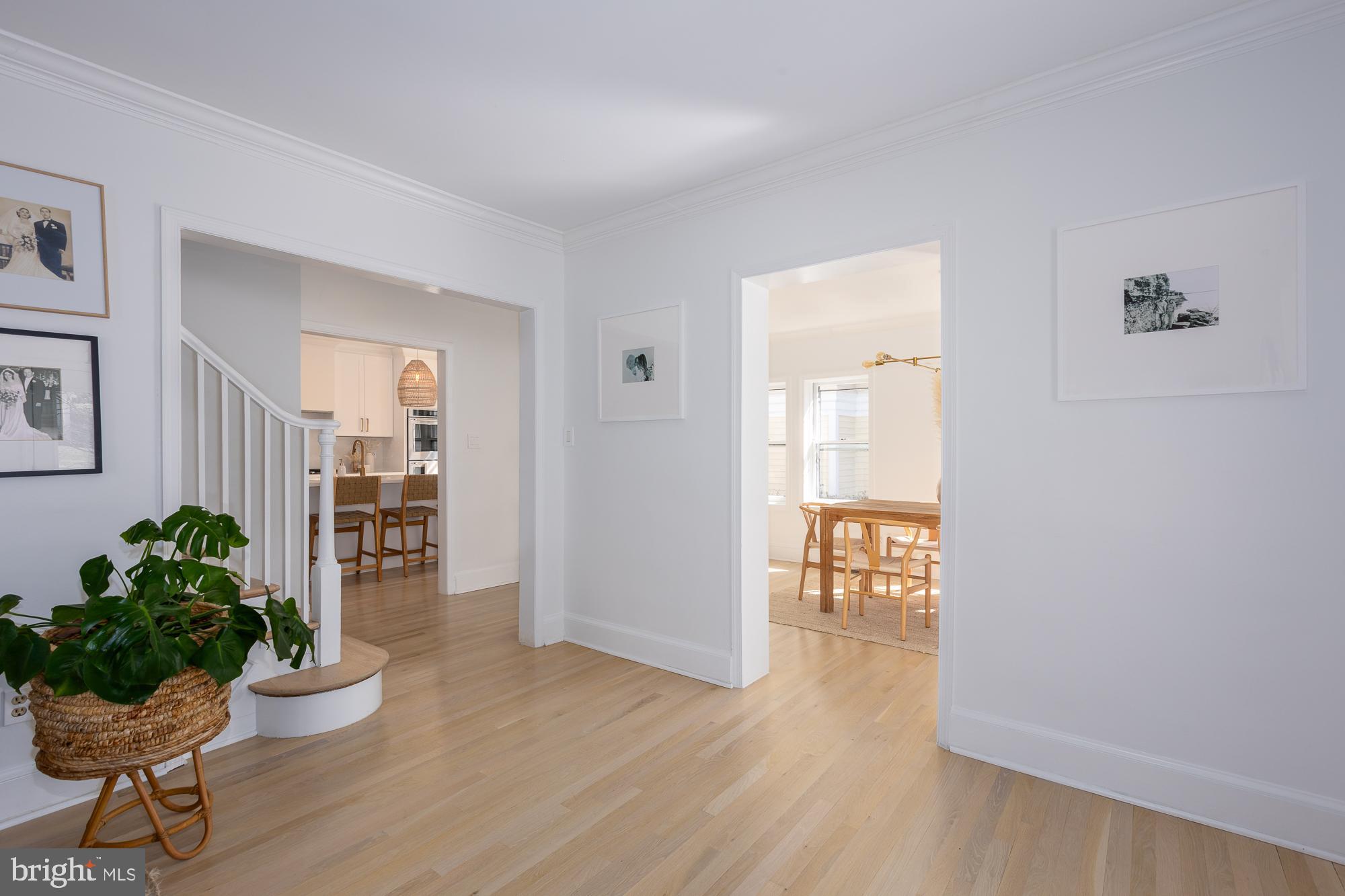 1505 Russell Road Alexandria, VA 22301 - Photo 4 of 56