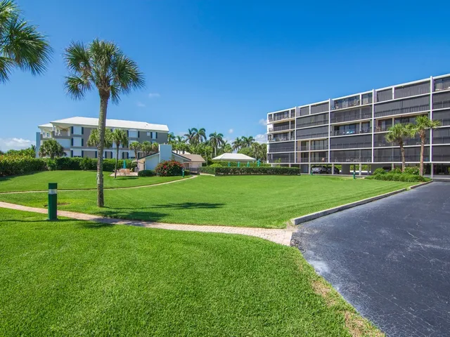 a view of a backyard with a garden and palm trees