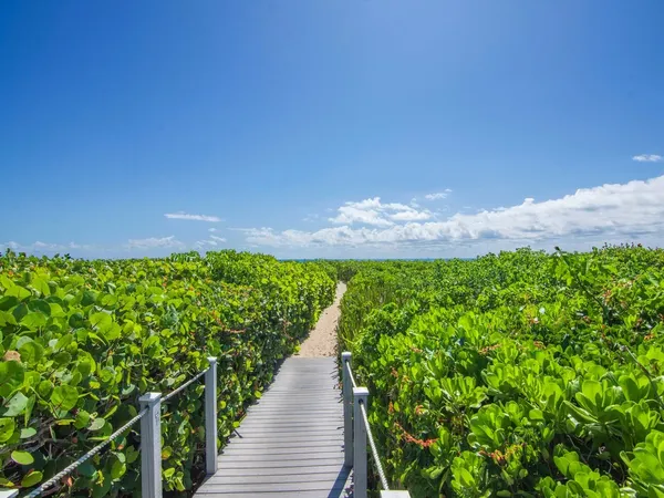 a view of a pathway with a garden