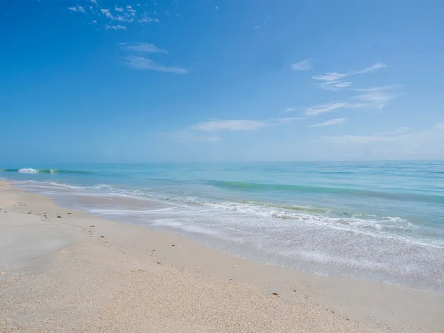 a view of beach and ocean