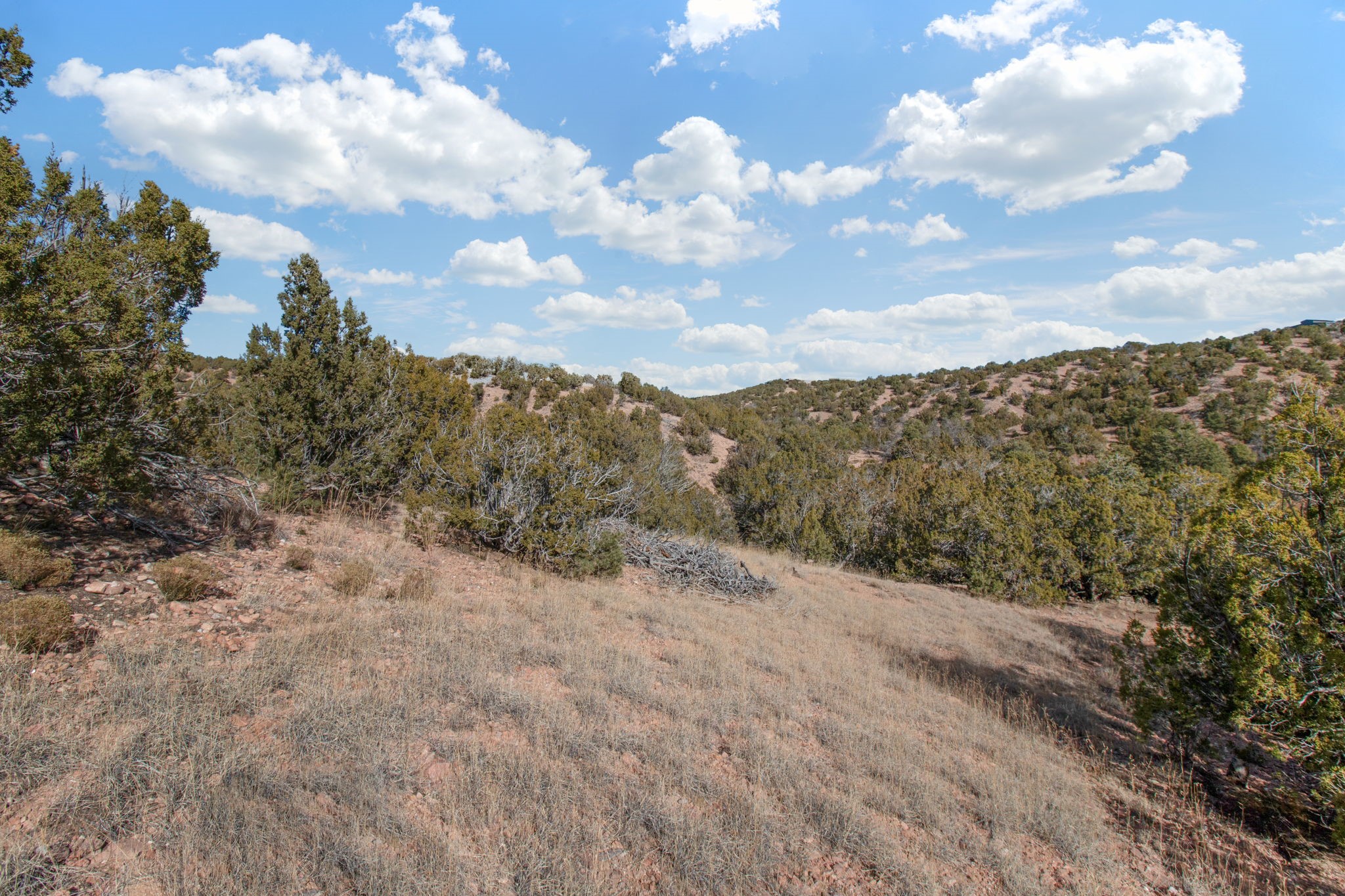 19 Del Charro Road Lamy, NM 87540 - Photo 9 of 15