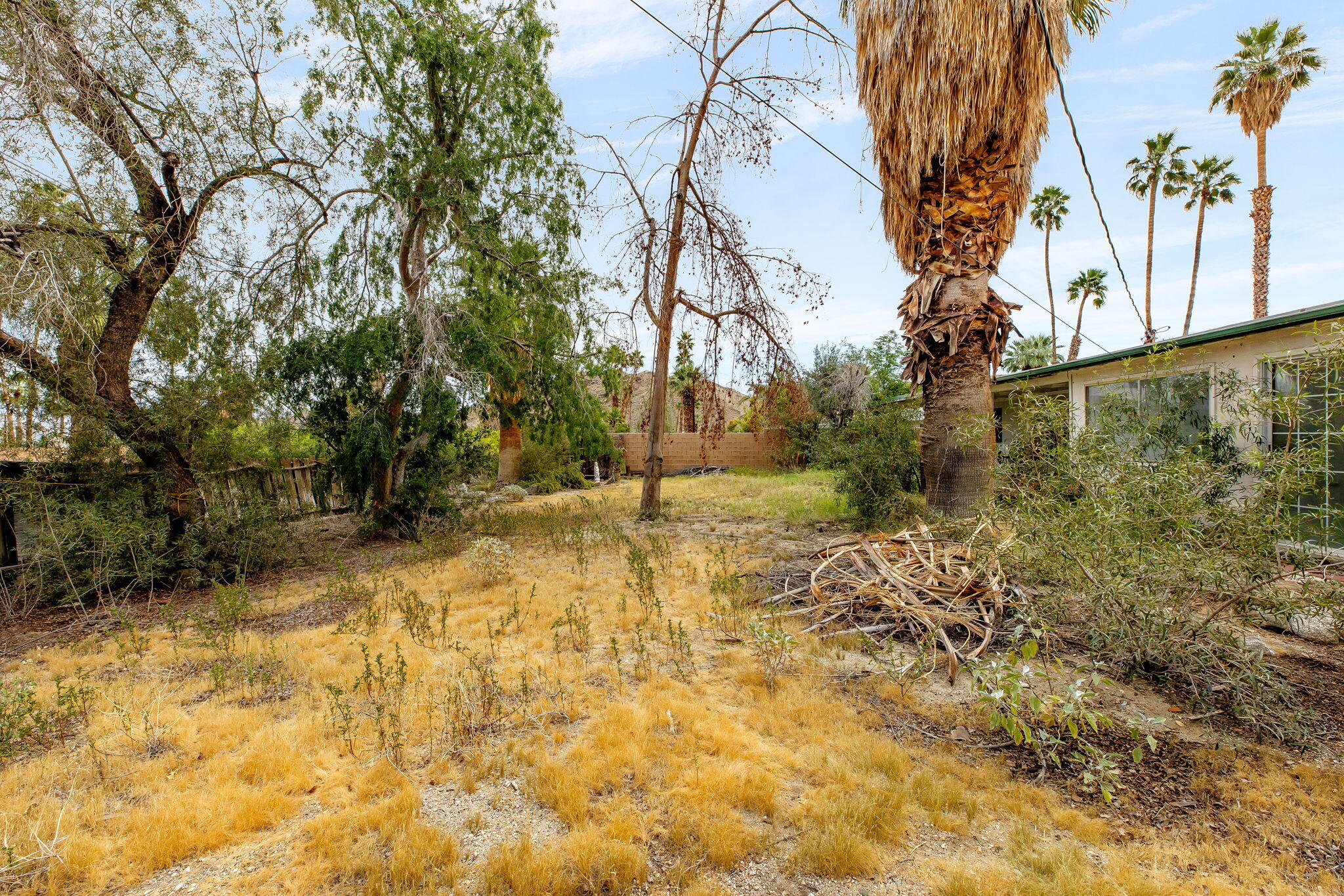 68620 Nightingale Road Cathedral City, CA 92234 - Photo 39 of 48 39-web-or-mls-Nightingale039