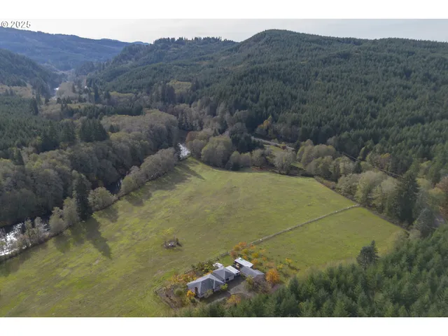 a view of a lush green hillside and a houses
