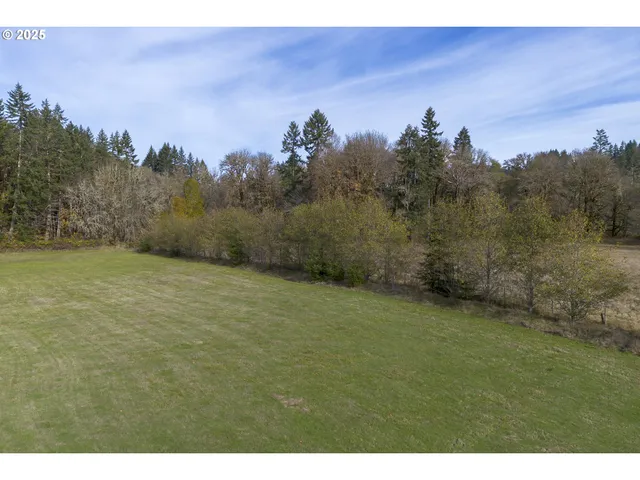 a view of a field with an ocean