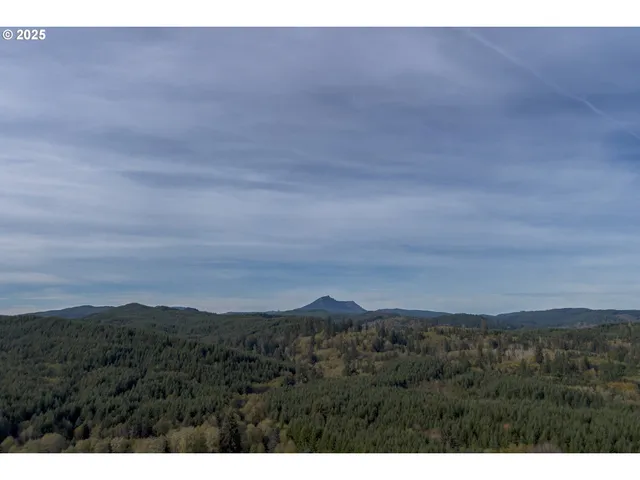 a view of a lake with beach and large trees