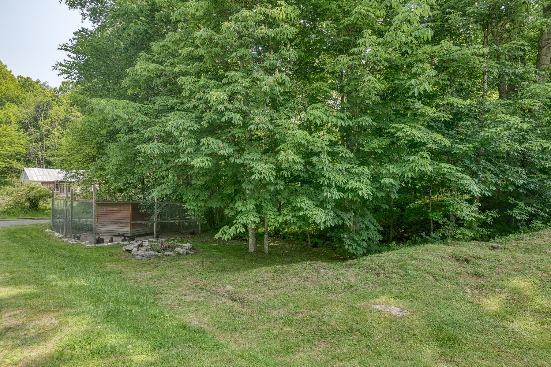 795 Ragan Road Trade, TN 37691 - Photo 36 of 37 795 Ragan Rd 36
