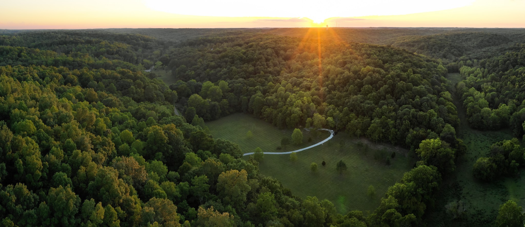 5824 Garrison Road Franklin, TN 37064 - Photo 1 of 22 a view of a forest with a street