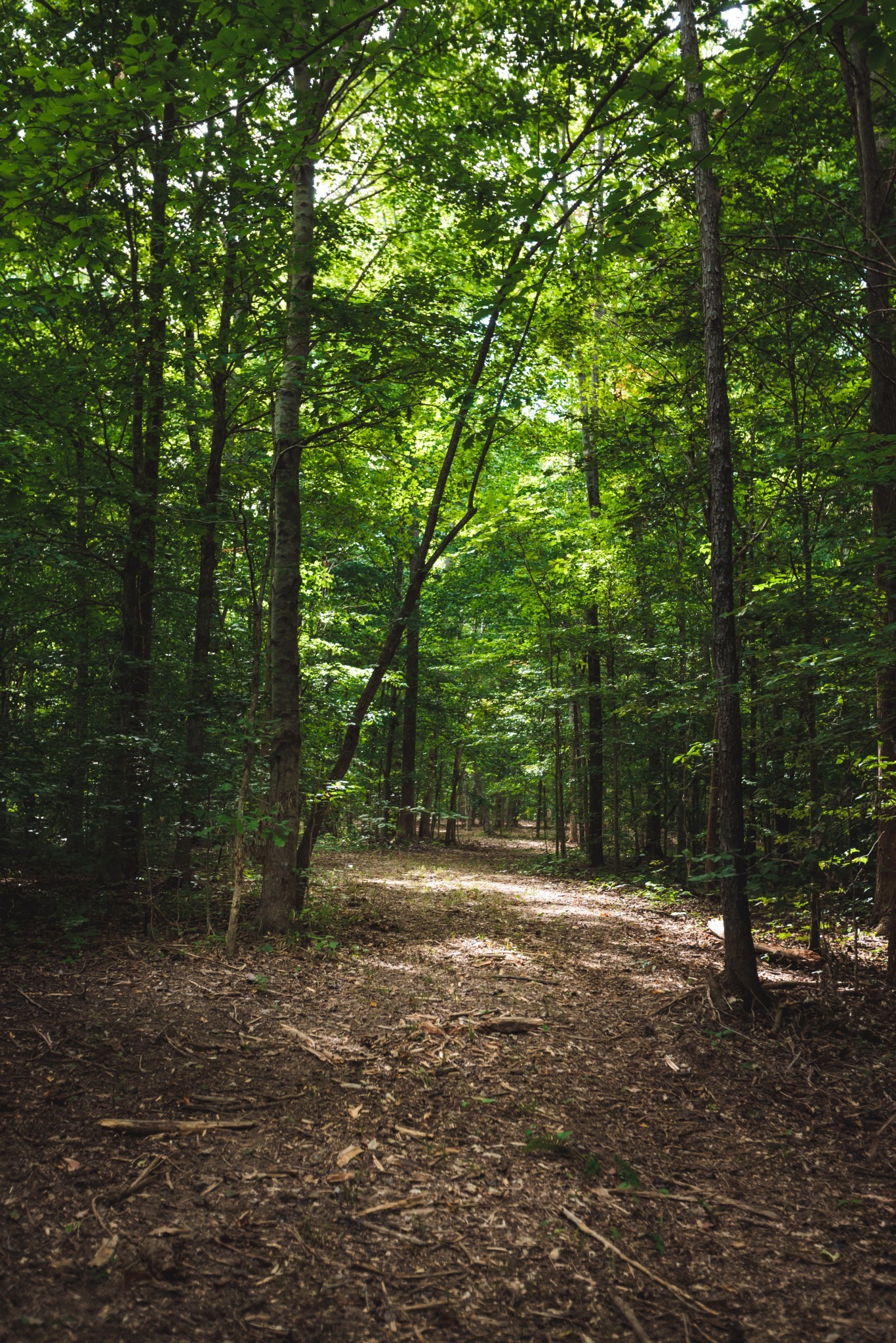 5824 Garrison Road Franklin, TN 37064 - Photo 18 of 22 a backyard of a house with lots of green space