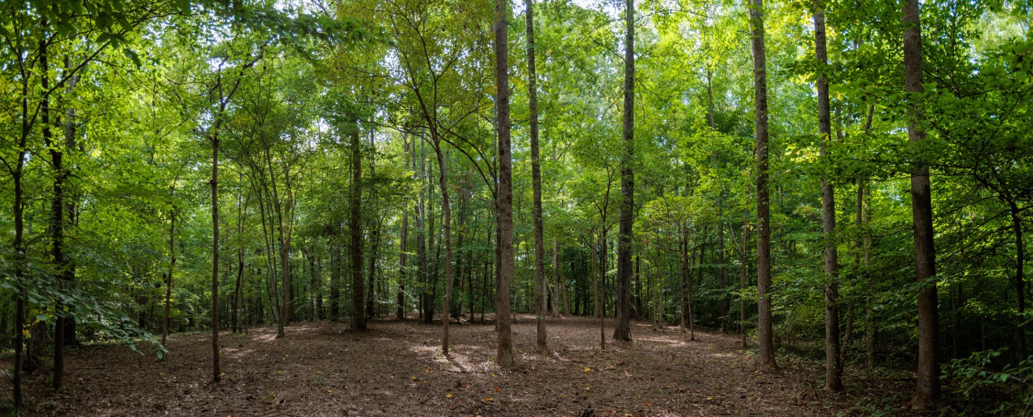 5824 Garrison Road Franklin, TN 37064 - Photo 20 of 22 a view of outdoor space and a yard
