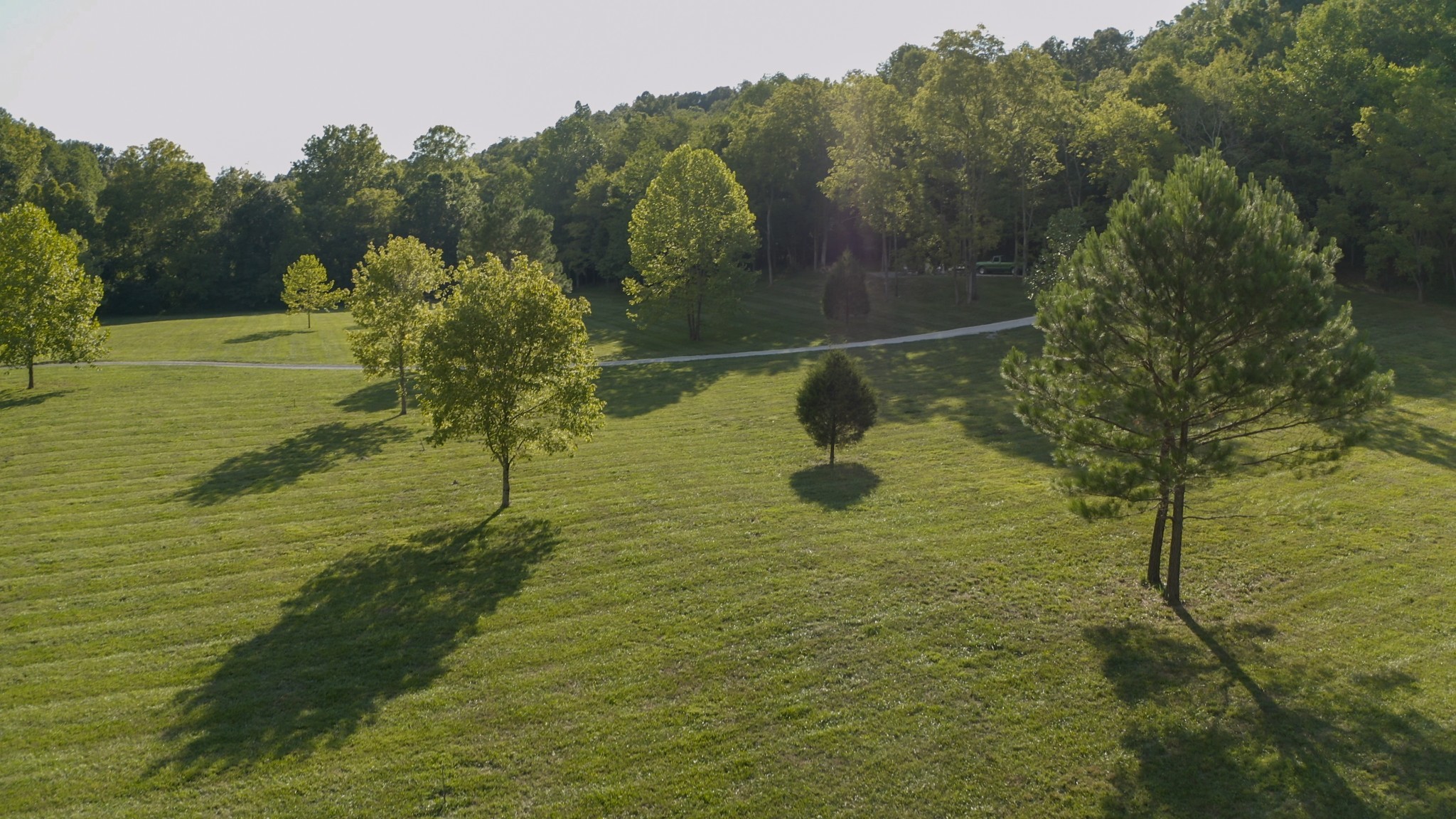 5824 Garrison Road Franklin, TN 37064 - Photo 4 of 22 a view of a water fountain
