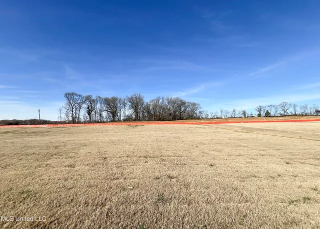 $419,900 | 2521 Scott Mdws Lane, Hernando, MS 38632