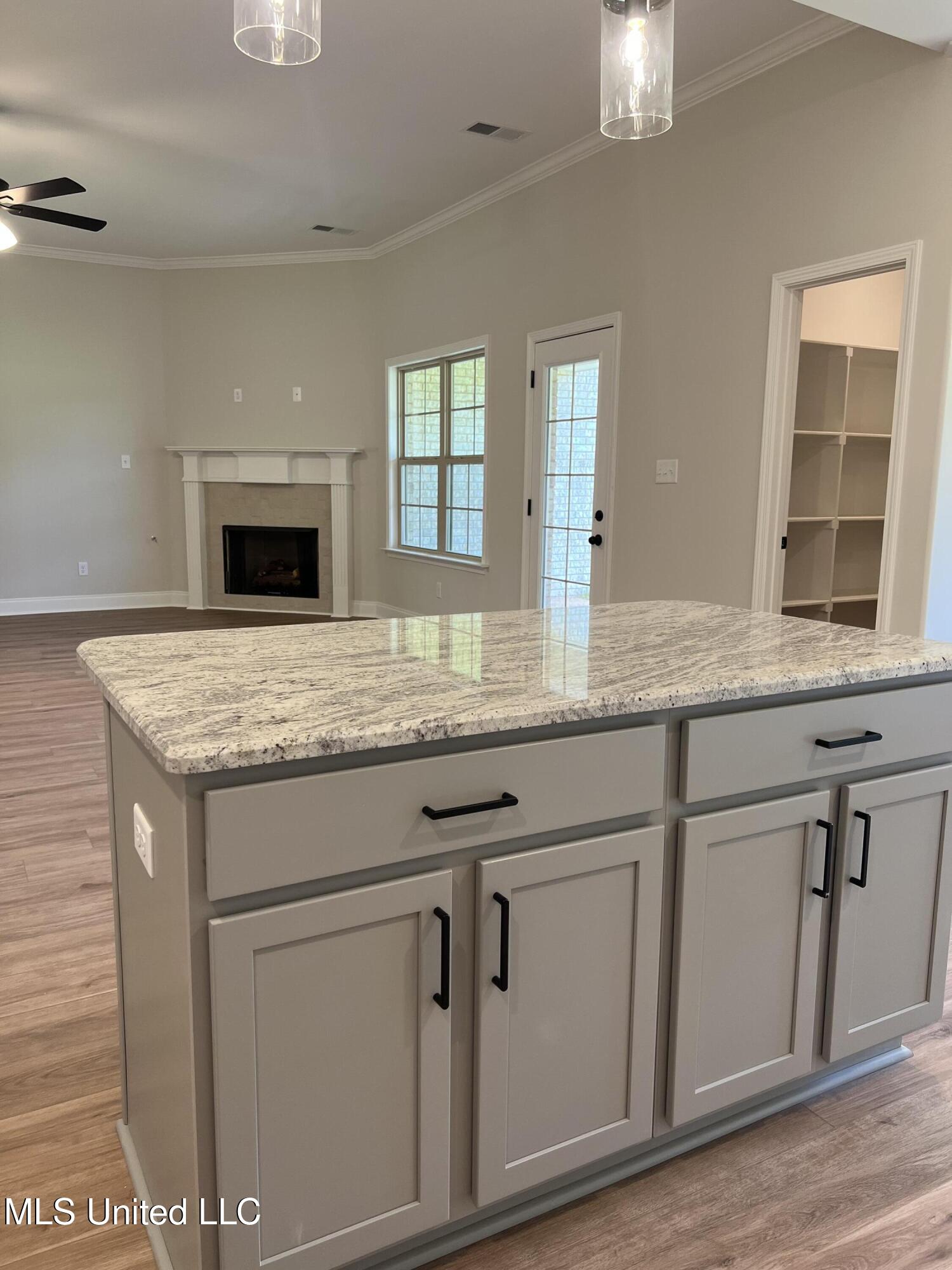 2521 Scott Mdws Lane Hernando, MS 38632 - Photo 8 of 31 IMG_3813