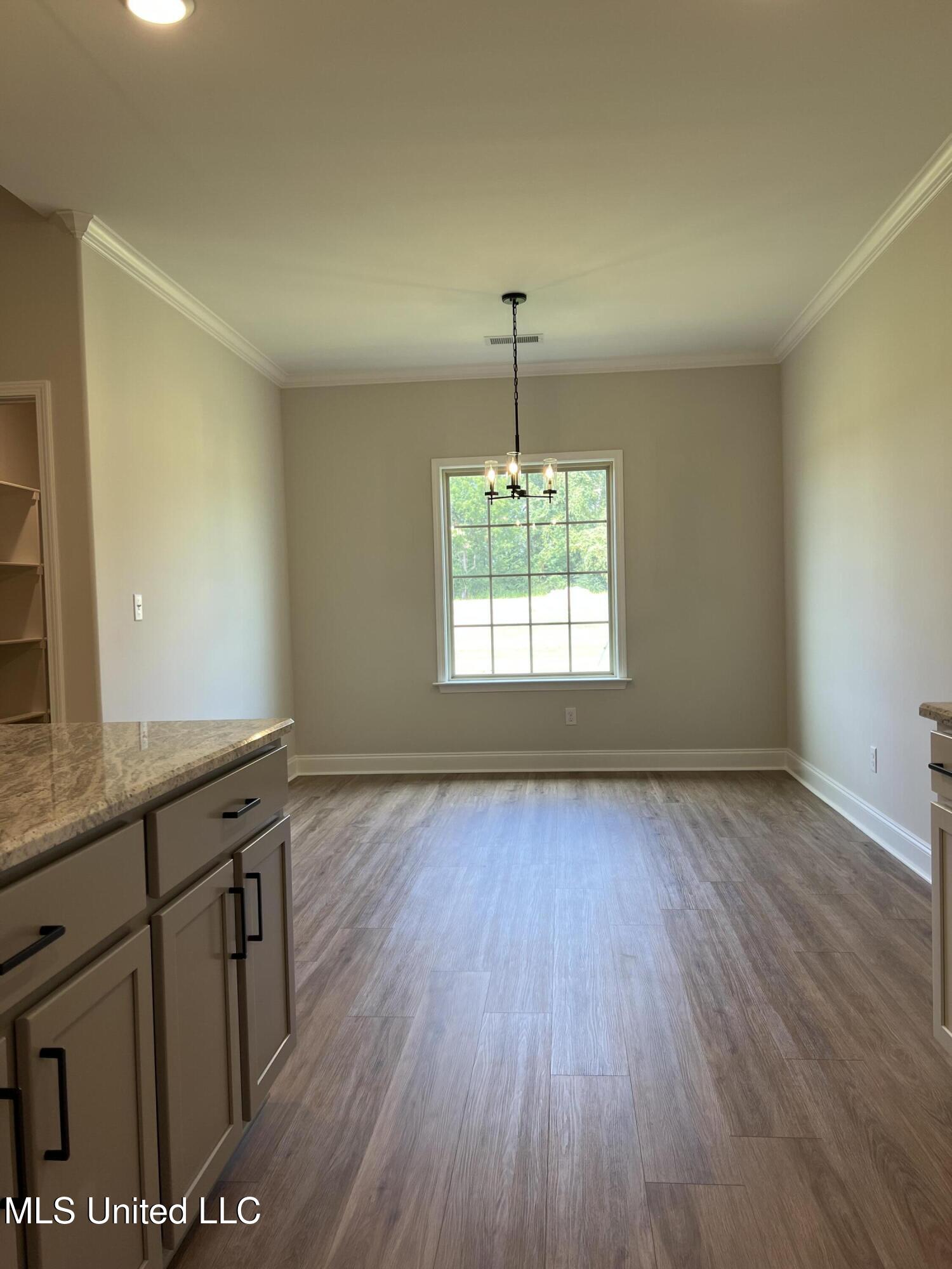 2521 Scott Mdws Lane Hernando, MS 38632 - Photo 10 of 31 IMG_3812