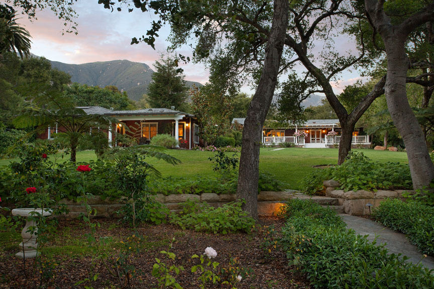 a view of a garden with a tree in front of the house