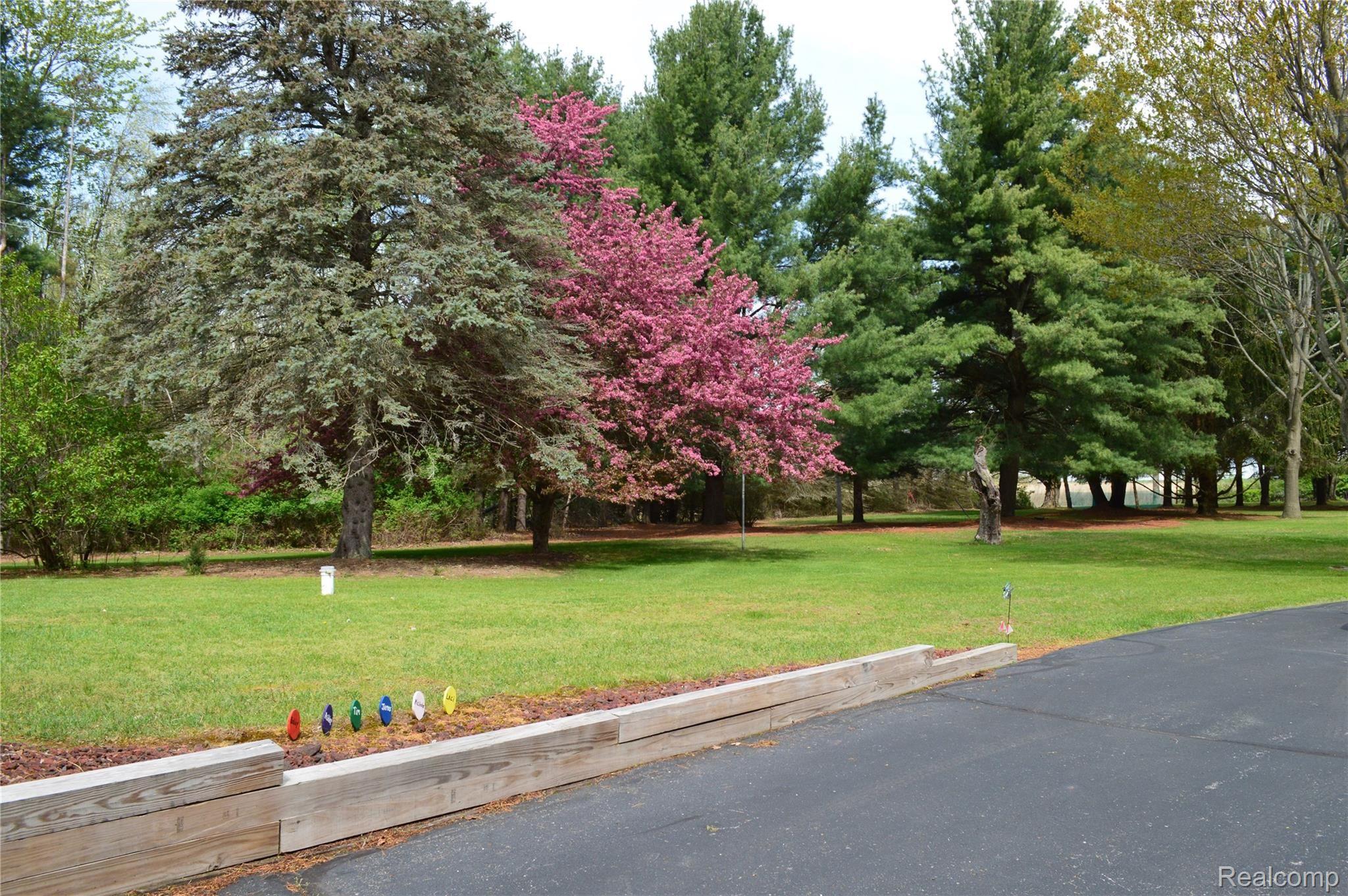 5245 Wilder Road Vassar, MI 48768 - Photo 40 of 40 Yard 4 (5245 Wilder Rd. Vassar)